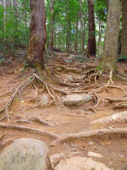 ★コリ登山 @筑波山神社~筑波山 vol.4★_f0351775_05073921.jpg
