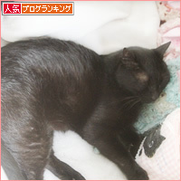 猫セラピー_a0389088_17184930.jpg