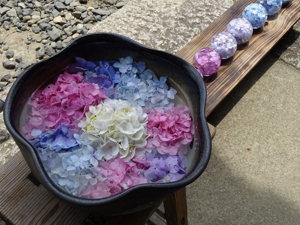 般若寺の紫陽花と花手水 彩の気まぐれ写真