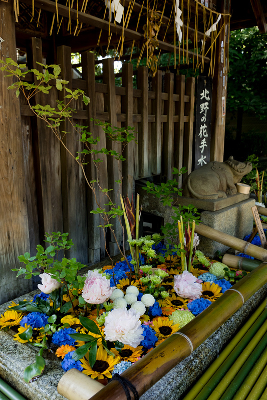 夏越の大祓　茅の輪くぐり（北野天満宮）_f0155048_00141394.jpg