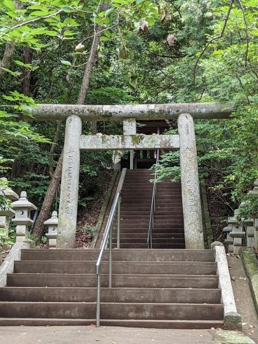 ◆小戸大神宮社のアジサイ_a0011373_11140202.jpg