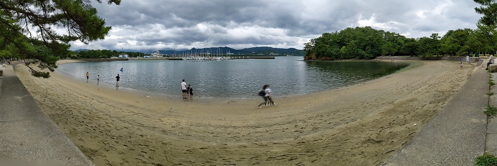 ◆小戸大神宮社のアジサイ_a0011373_11141873.jpg