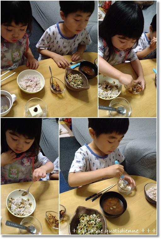 【今週の常備菜】1日アクセス3000件 感謝の大葉味噌で常備菜と姫と2人で散歩_a0348473_01493795.jpg