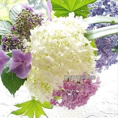 6月レッスン始まります_d0169179_23233347.jpg