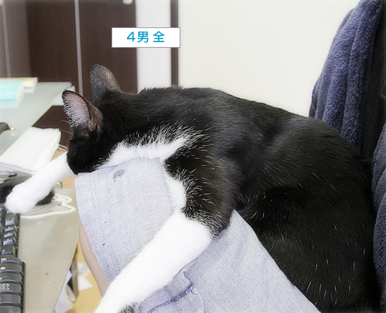 熱、下がってきました_a0389088_14080091.jpg