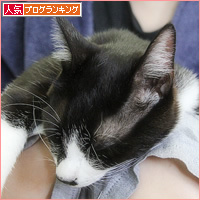 熱、下がってきました_a0389088_14080110.jpg