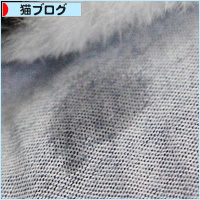 熱、下がってきました_a0389088_14080139.jpg