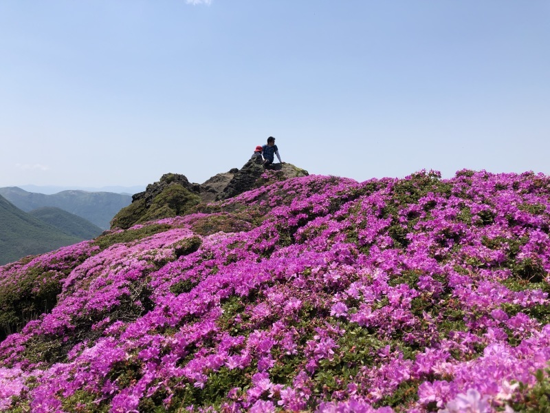 ミヤマキリシマの咲く平治岳へ_d0116009_01350145.jpg