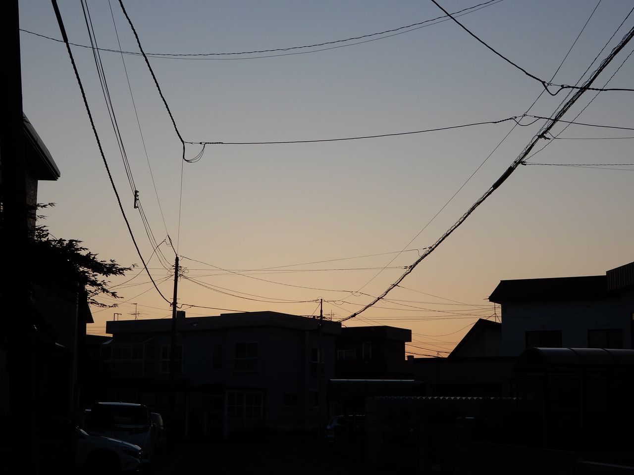 ほぼ昨日と同じ気温_c0025115_22203690.jpg