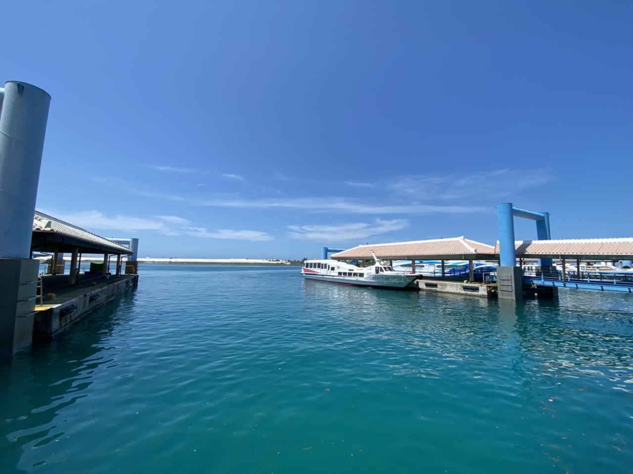 まゝに/6月の雑記3 特急便_d0342426_11070189.jpeg