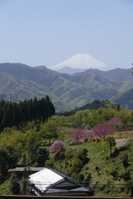 様々な出会いがあった扇山登山　その12_c0196928_05521462.jpg