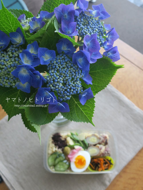 最近食べたもの【小満】①_e0394031_05183957.jpg