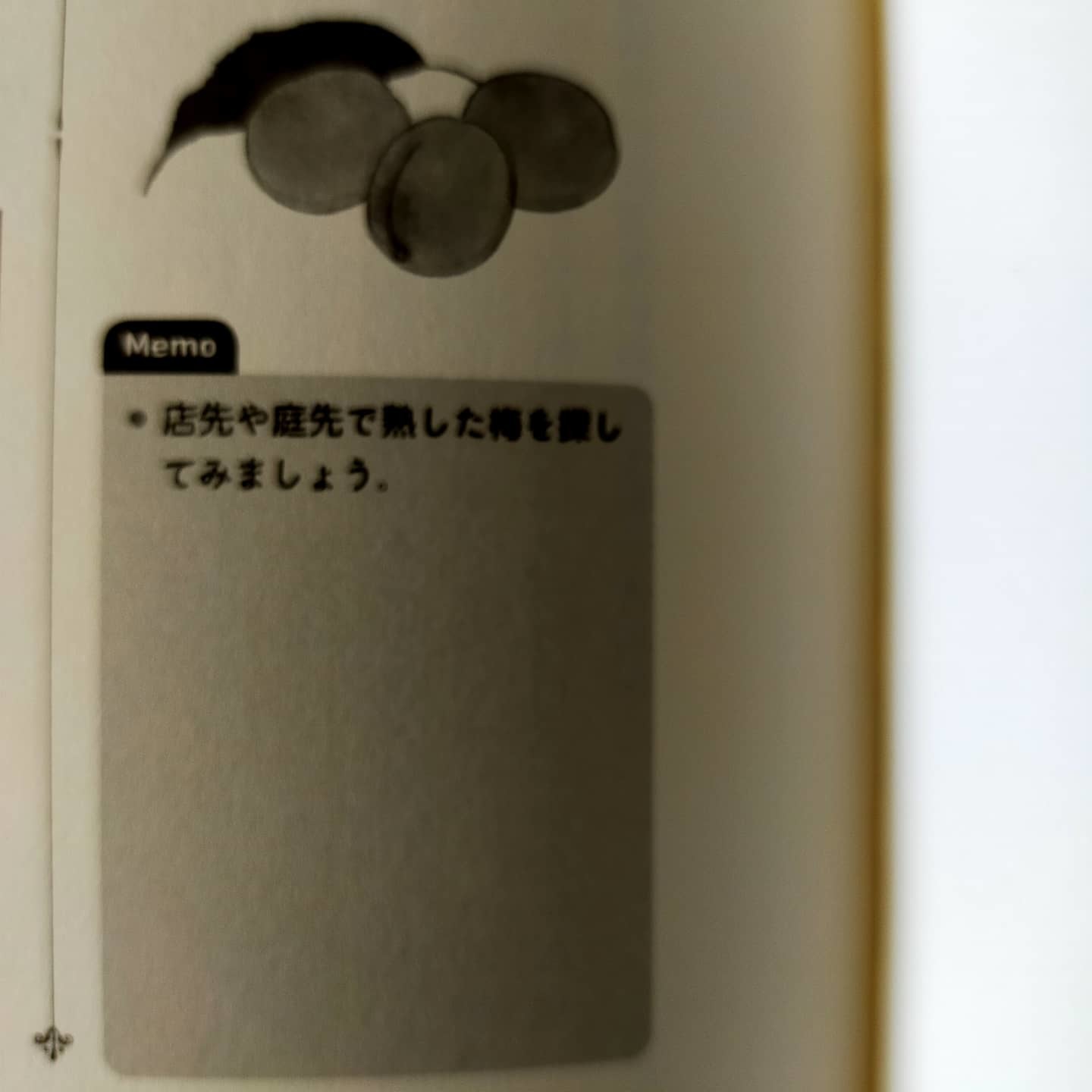 210616 七十二候第二十六候「梅子黄(うめのみきばむ)」_f0164842_15145359.jpg