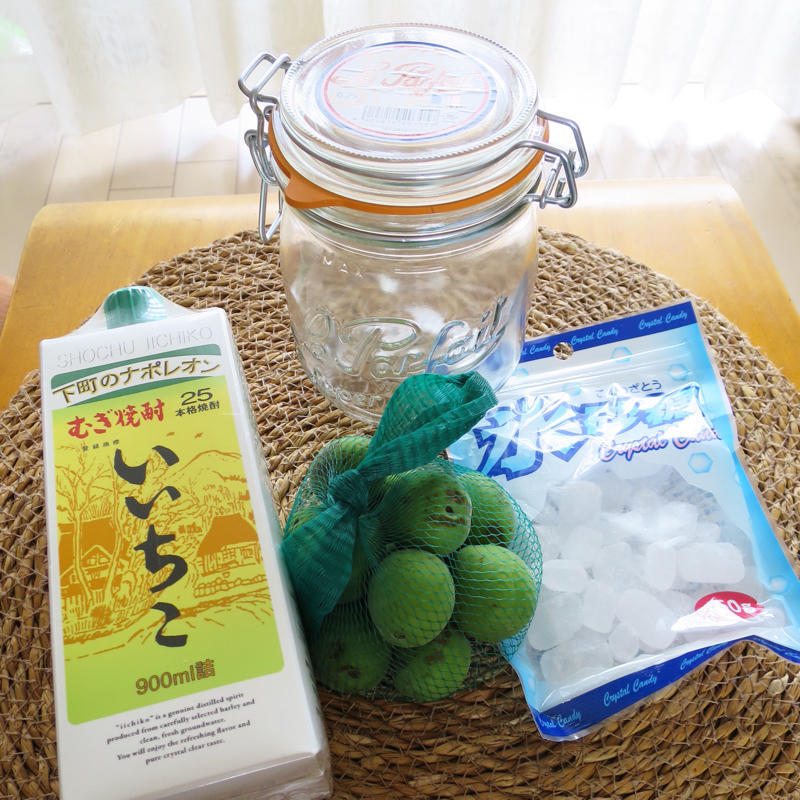 いいちこでつくった梅酒が楽しみ! #いいちこアンバサダー_c0060143_10510866.jpg