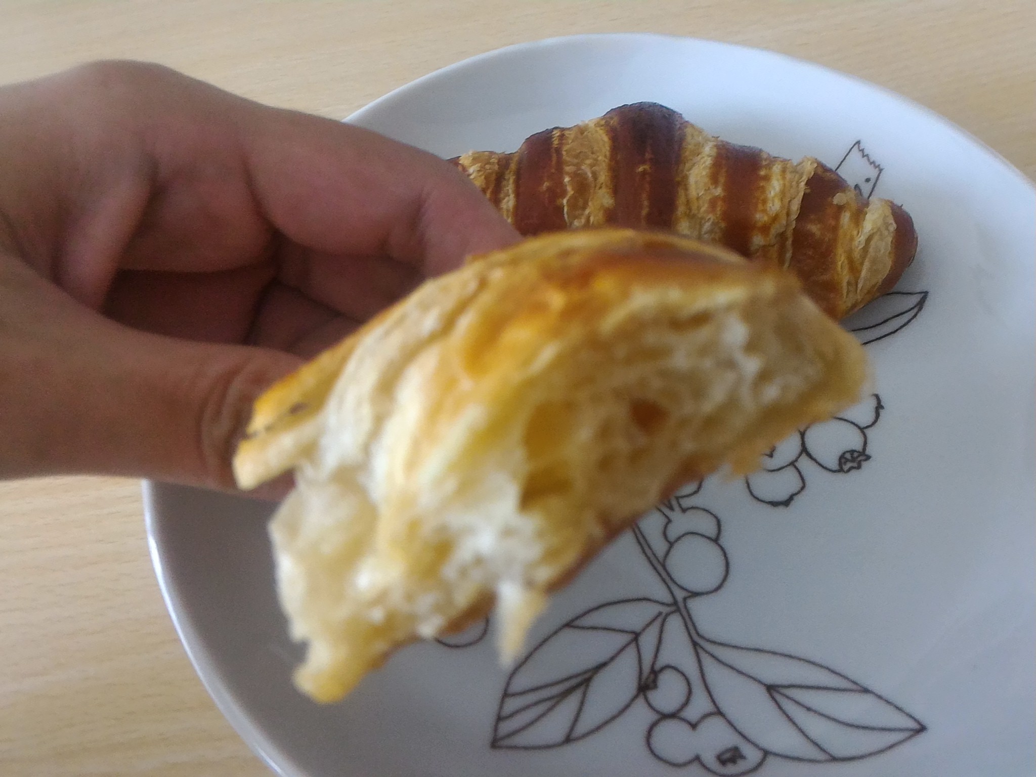 ラウゲン液につけて焼いたらおいしくなるか試してみた おうちで冬眠 ときどき放浪 ラウゲン液につけて焼いたらおいしくなるか試してみた おうちで冬眠 ときどき放浪