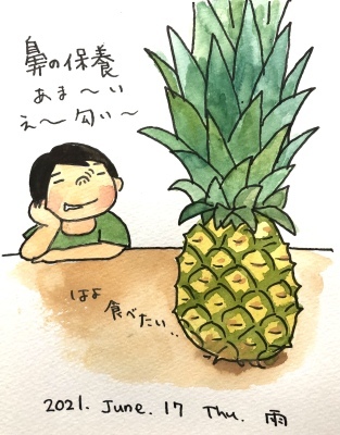 パイナップル_f0072976_12131817.jpeg