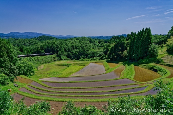 ななつ星と棚田_e0135098_21303255.jpg