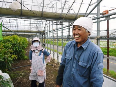 熊本県産!樹上完熟アップルマンゴー令和3年の予約受付開始!煌&ファミリータイプの商品ラインナップ紹介_a0254656_17060390.jpg