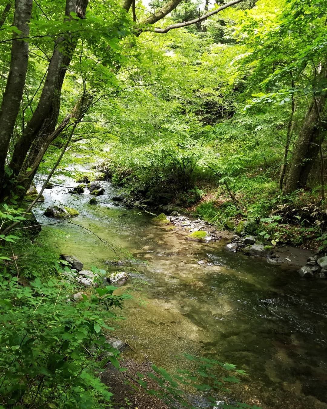 MORIASOBI/モリアソビ ＊ 湯川沿いのテラスでモーニング♪_f0236260_02173427.jpg