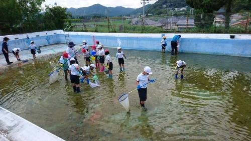 水中生物を捕まえろ！_d0334162_21323554.jpg