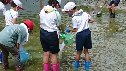 水中生物を捕まえろ！_d0334162_21330270.jpg