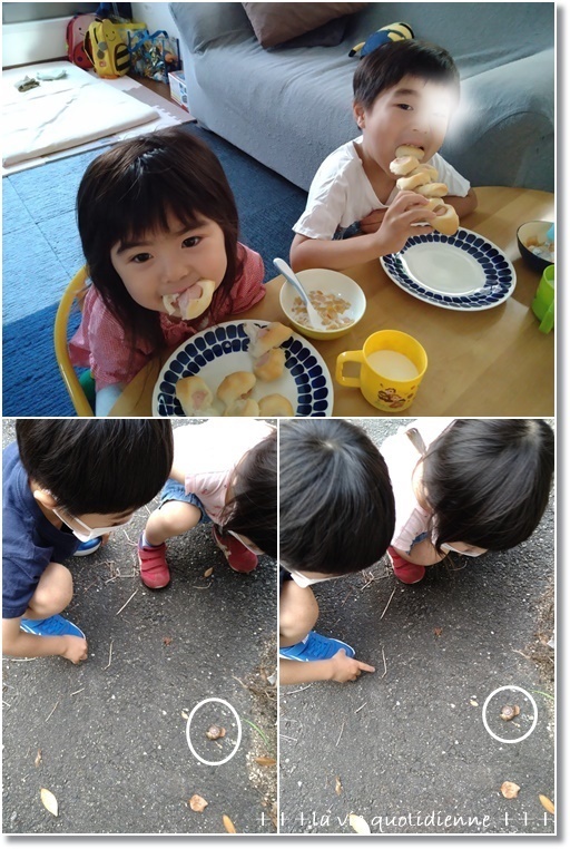 ビショビショになったソーセージエピと王子発熱により本日、全員お休みデス★_a0348473_07002929.jpg