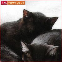 今日のナース_a0389088_17373256.jpg