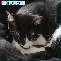 今日のナース_a0389088_17373257.jpg