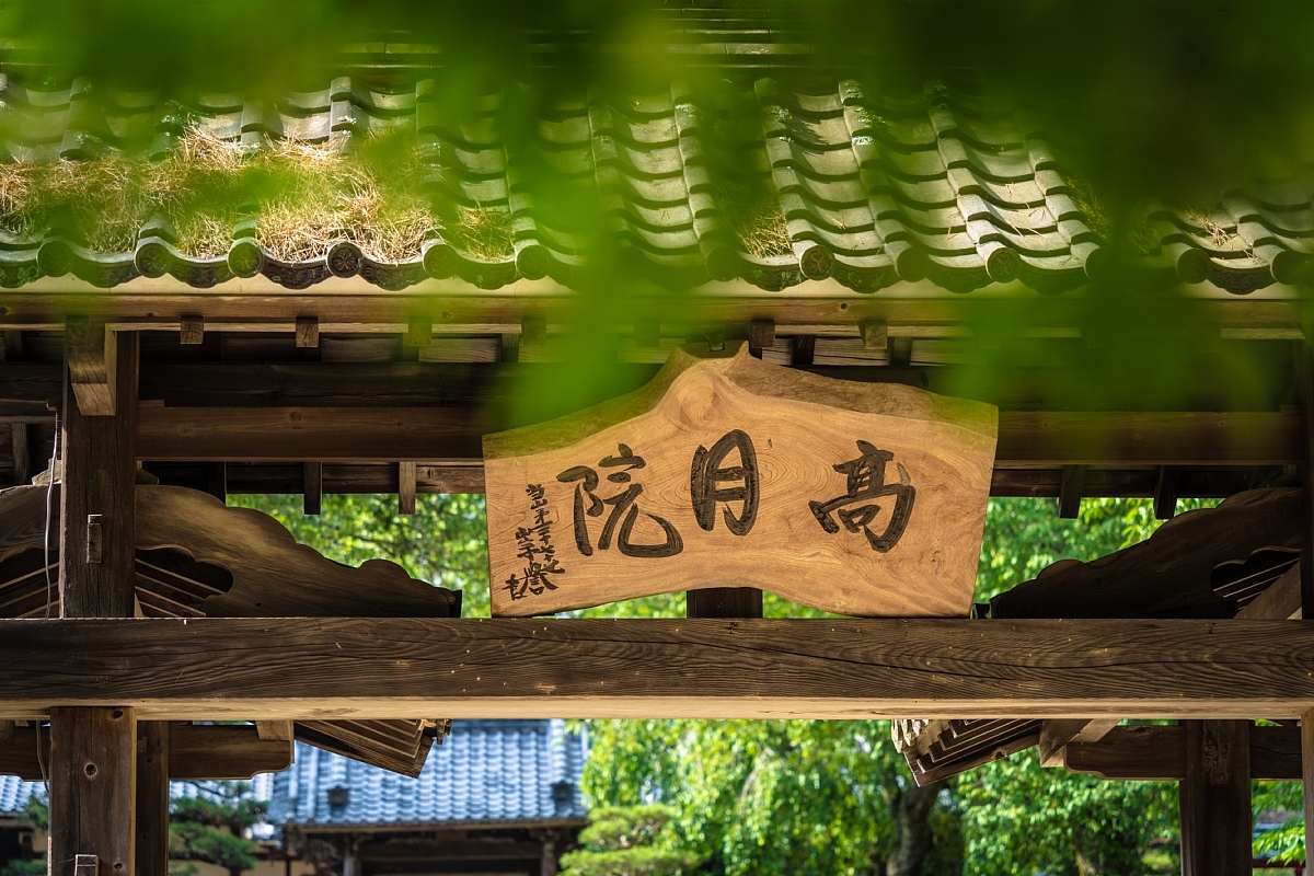 梅雨の季節の松平菩提寺_d0353489_18412452.jpg