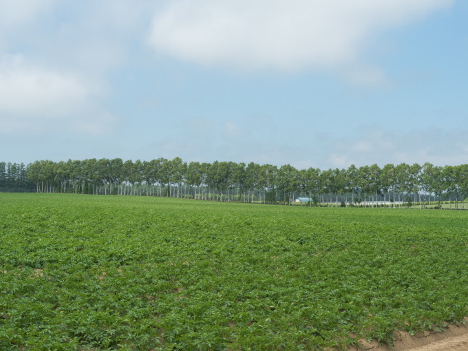 梅雨が無い?6月の北海道、さわやかな中札内村の農村風景!_f0276498_23575876.jpg