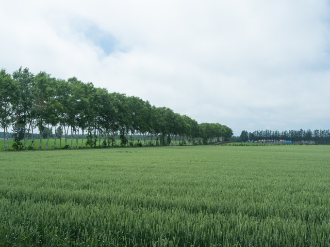 梅雨が無い?6月の北海道、さわやかな中札内村の農村風景!_f0276498_23580966.jpg