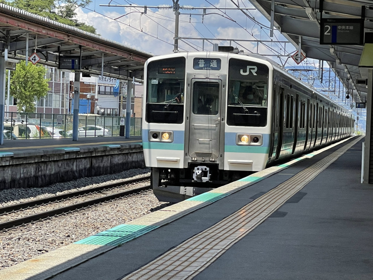 茅野駅の「ツバメ団地」がすごい!_c0212604_06084914.jpeg