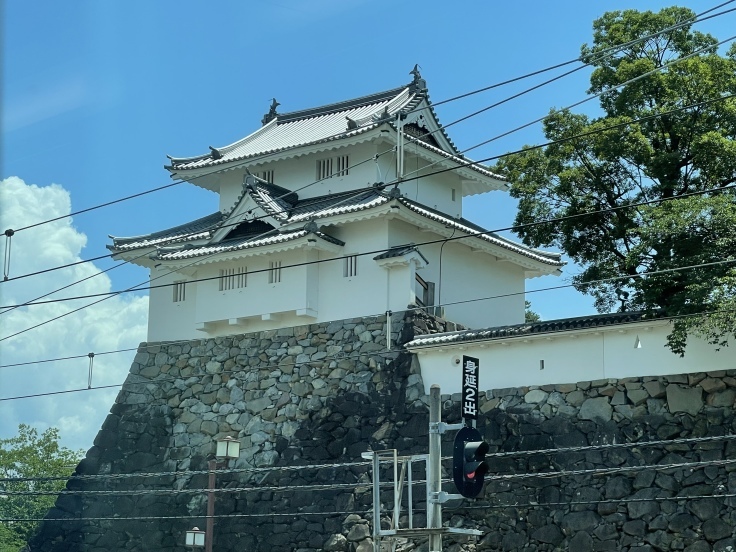 茅野駅の「ツバメ団地」がすごい！_c0212604_06122804.jpeg