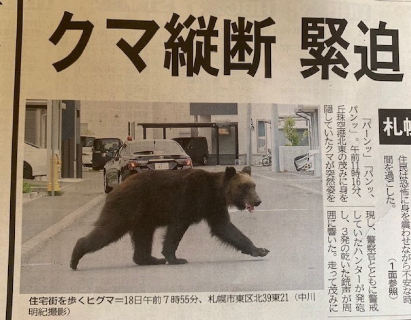 クマ騒動 好奇心旺盛なおかんのひとりごと クマ騒動 好奇心旺盛なおかんのひとりごと