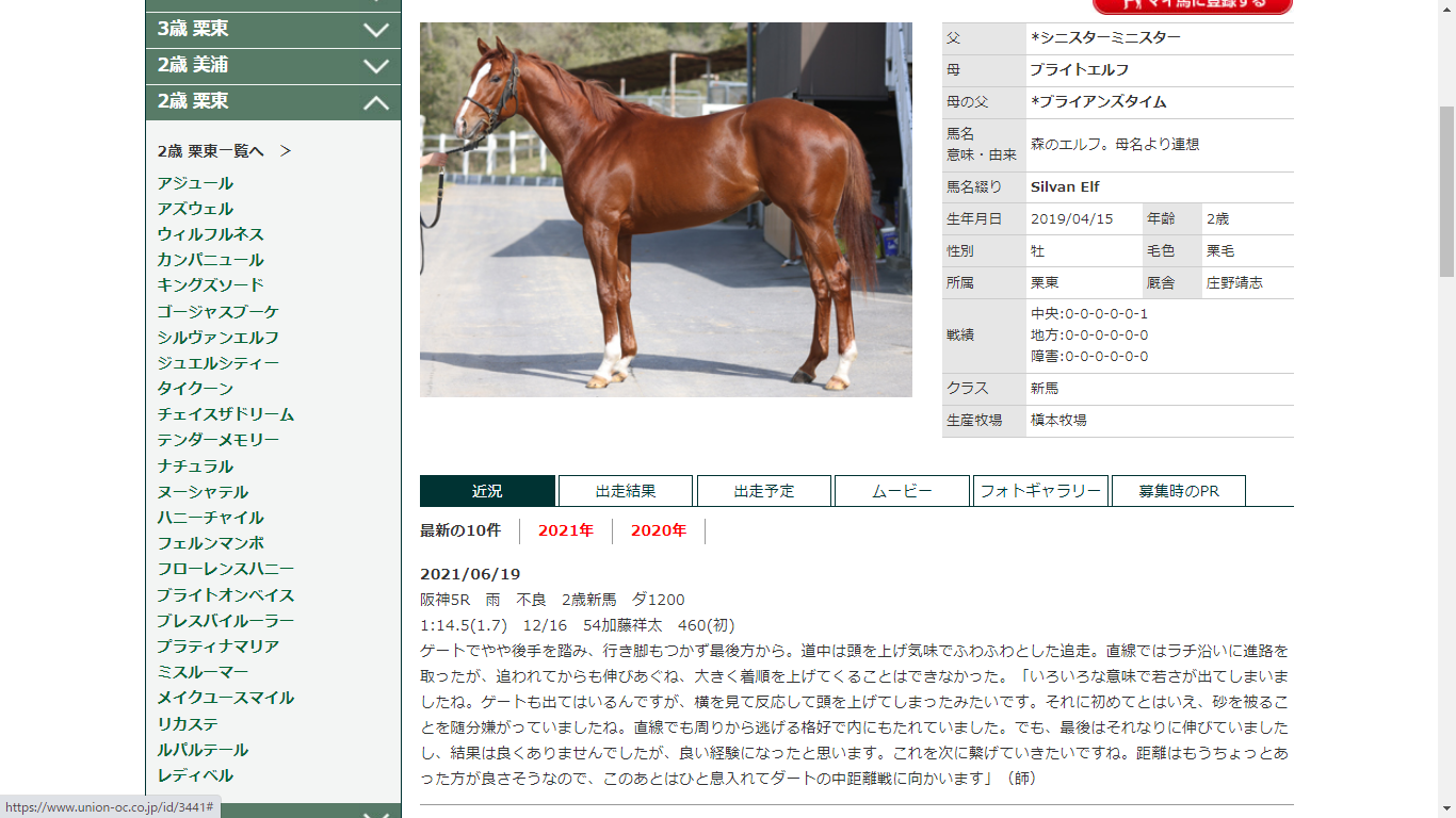 ノルマンディー3次募集 シルク産リスト 今週ユニコーンs 21 6 19 馬主クラブの研究