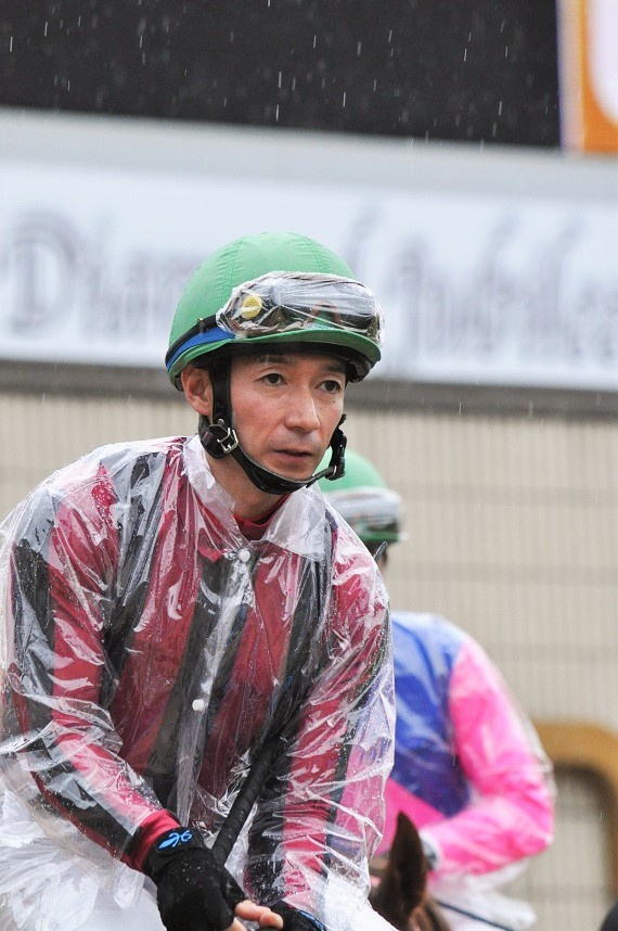競馬 ワールドオールスタージョッキーズ 実使用ゼッケン 内田博幸騎手 競馬 ワールドオールスタージョッキーズ 実使用ゼッケン 内田博幸騎手