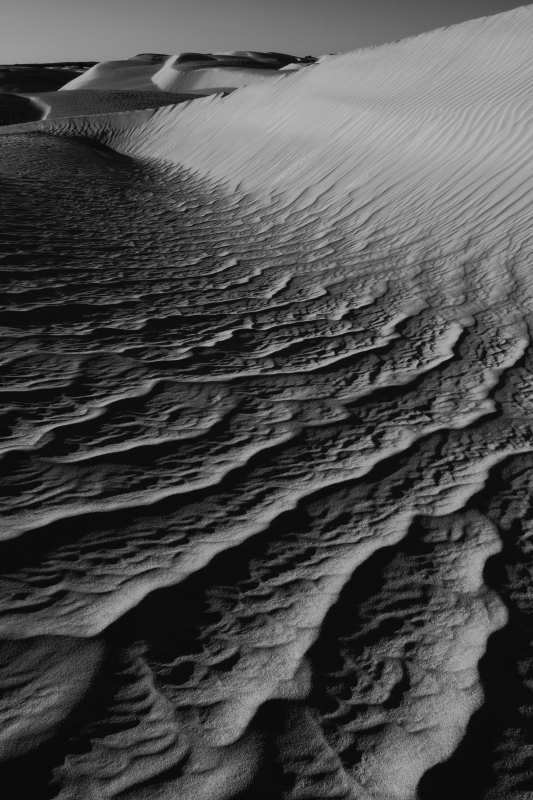 Dunes, Lancelin,Western Australia_f0050534_16181021.jpg