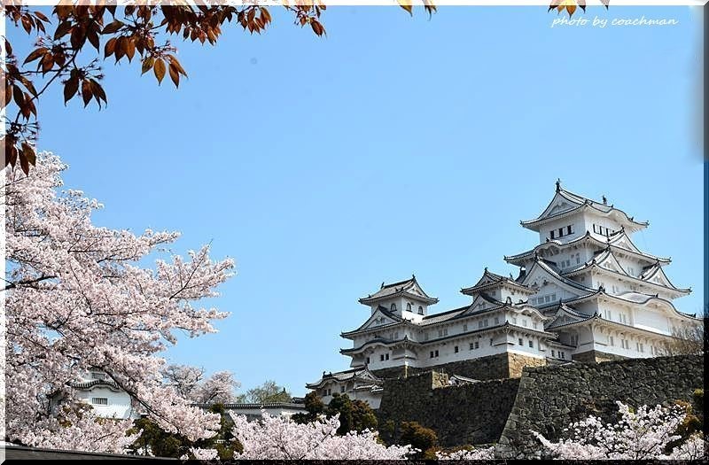 姫路城の桜 2 北海道photo一撮り旅 姫路城の桜 2 北海道photo一撮り旅