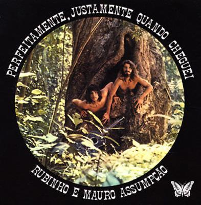 Rubinho e Mauro Assumpção - Perfeitamente, Justamente Quando Cheguei (1972) 軽妙なブラジリアン・カルト・フォーク・デュオ盤_c0002171_00215273.jpg