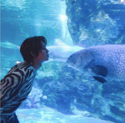 キム ヒョンジュンが気になる