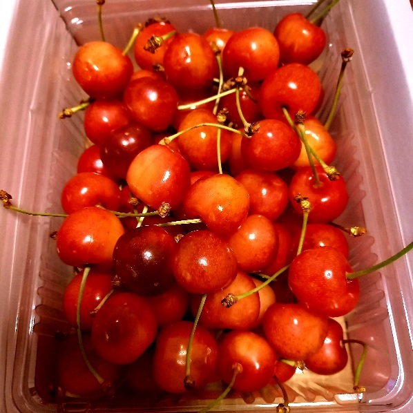 バナナ大臣に ふつうの日々を生きる