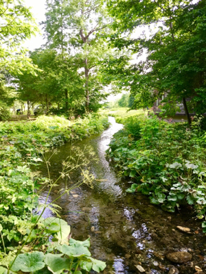 六花亭の 花咲く六花亭 ゆるゆると