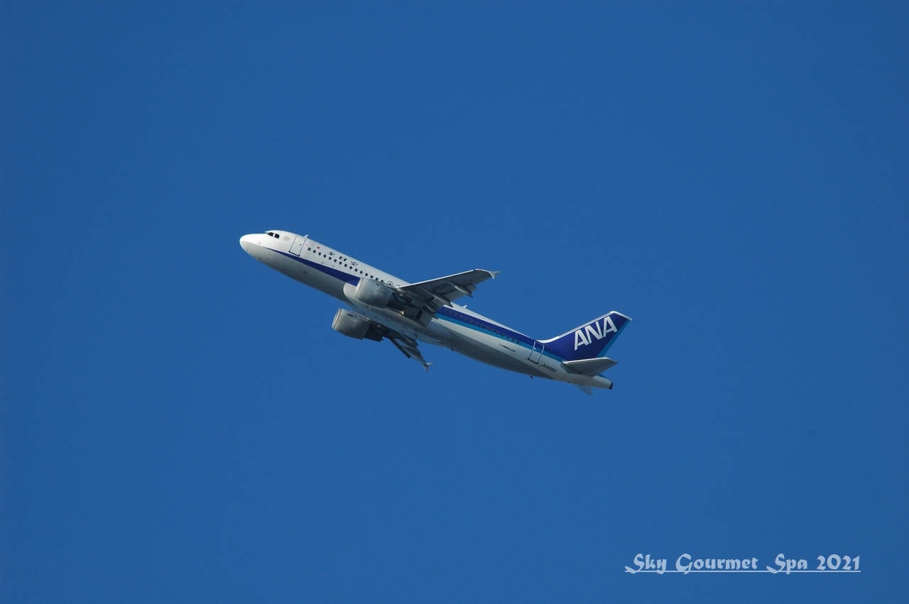 もう会えない飛行機たち その59 全日空 のロゴで飛んでいた日 05年1月 空とグルメと温泉と