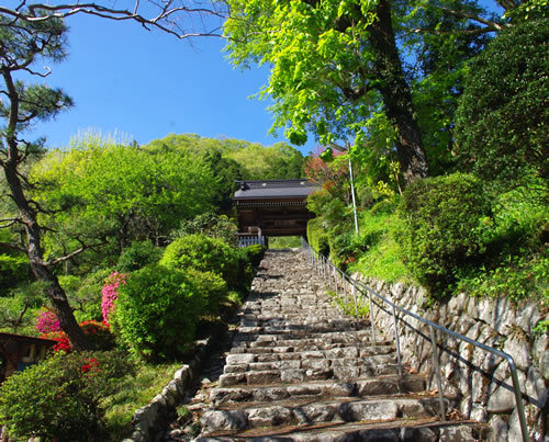 寺社巡り/興慶寺 八王子見て歩記