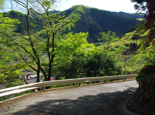 寺社巡り/興慶寺 八王子見て歩記