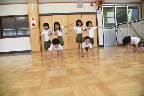 組体操 陽だまりの小窓 菊の花幼稚園保育のようす 組体操 陽だまりの小窓 菊の花幼稚園保育のようす