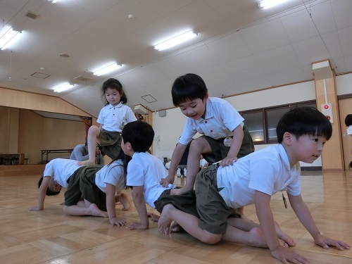 組体操 陽だまりの小窓 菊の花幼稚園保育のようす 組体操 陽だまりの小窓 菊の花幼稚園保育のようす