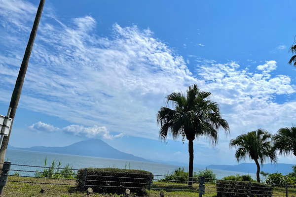* 夏至_b0184636_19402811.jpeg