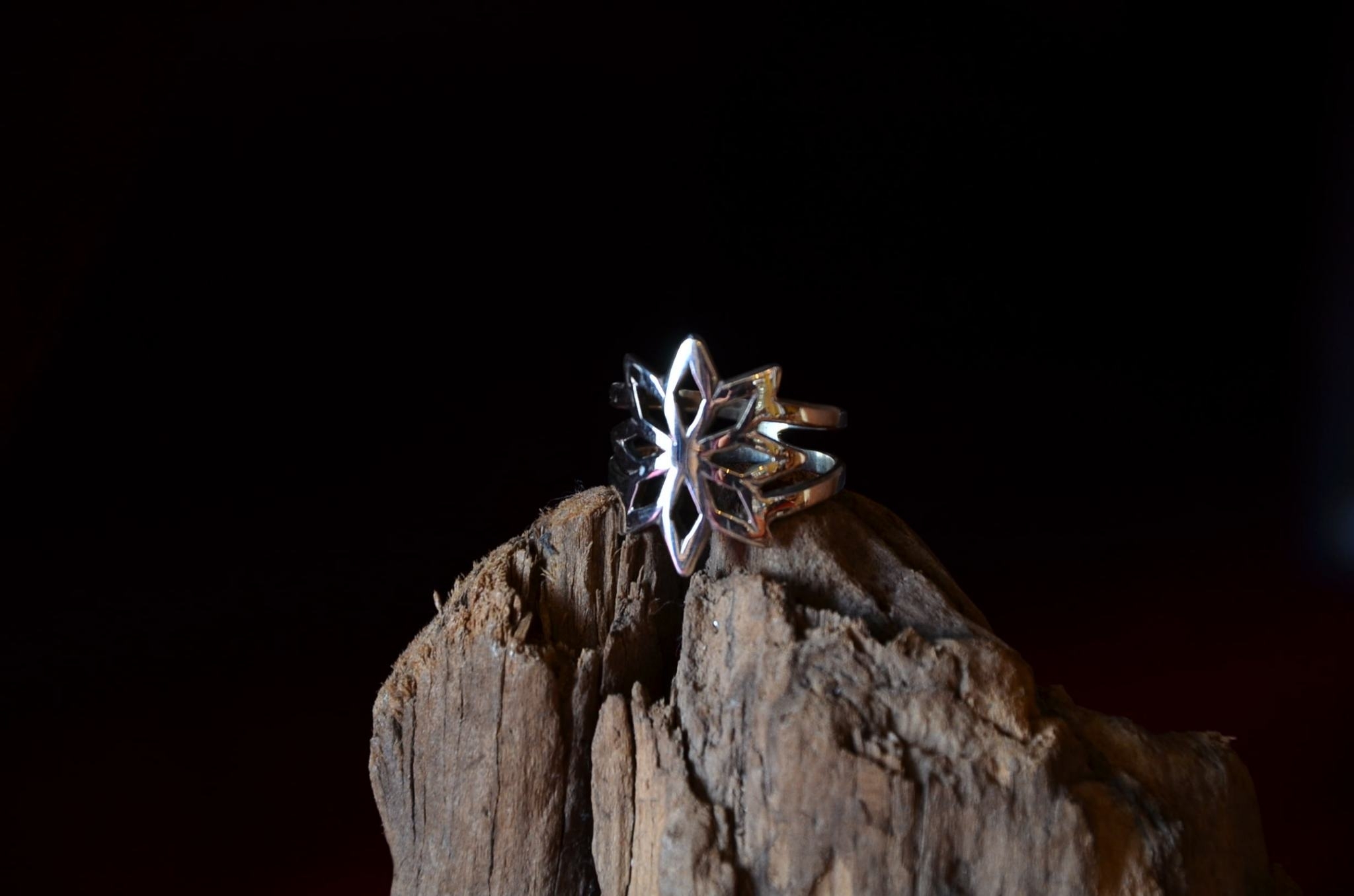 \"Nasngwam.×SUNSHINE STUDIO\"<<MORNING STAR>>6.24.Thu...Launch_c0167336_23012984.jpg