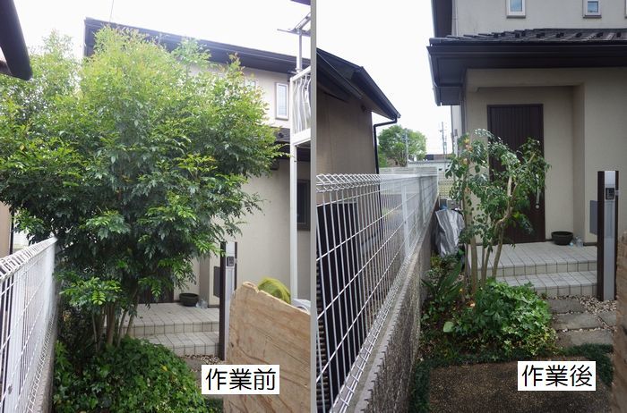 京都市庭木剪定 庭 佳niwaka 庭木1本からの植木屋 京都市庭木剪定 庭 佳niwaka 庭木1本からの植木屋